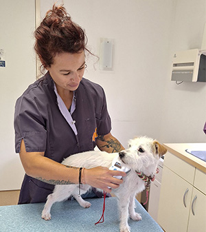 Nandie Vet - Britta